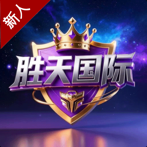胜天国际